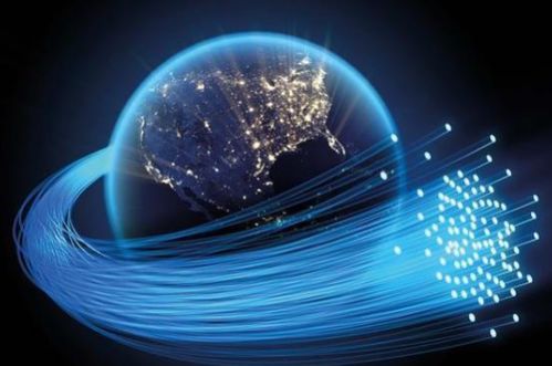 科技賦能，強勁支持 Velia德國維亞網絡如何以專用服務器驅動企業未來